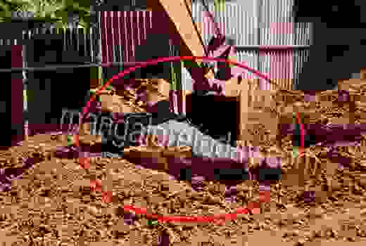 contractor   felling tree 1